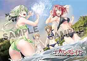 ゴブスレ タペストリー 特典 女神官 ビキニアーマー ゴブスレ タペストリー 特典 女神官 ビキニアーマー