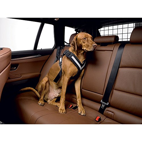 Kleinmetall 15380200 Allsafe Cintura di Sicurezza