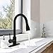 Hoimpro Commercial High-Arc Single Handle Kitchen Sink Faucet with Pull Out Sprayer,Rv Kitchen Faucet with Pull Down Sprayer,3 Function Touch on Laundry Water Faucet, Brass/Matte Black(1 or 3 Hole)