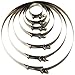 Trident Marine 720-5000 Stainless Steel T-Bolt Hose Clamps, 3/4", Range 5.28" to 5.59"