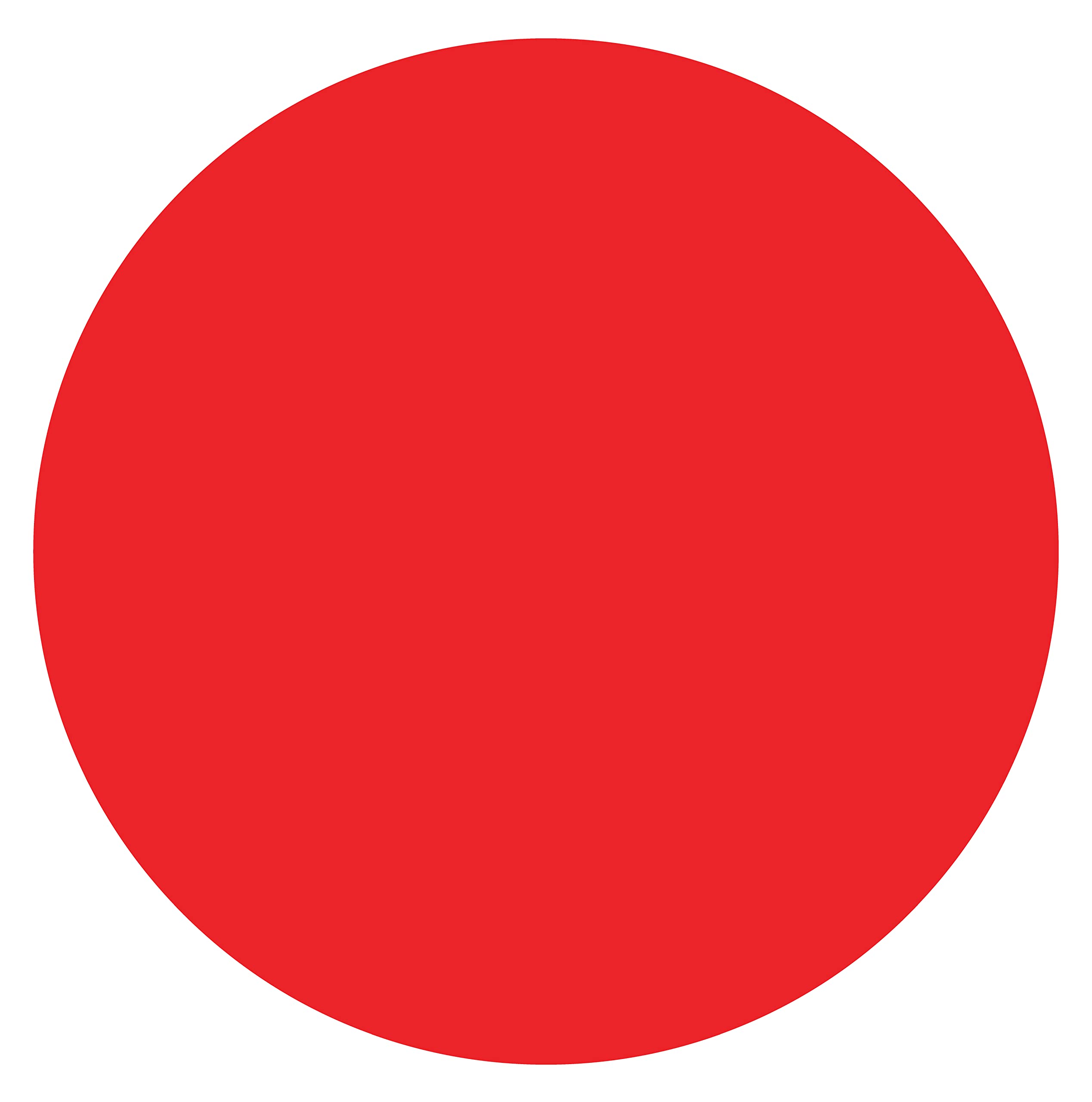 Buy CLEVER SIGNS 30 Pcs 4'' Vinyl Dots for Classroom and Kindergarten