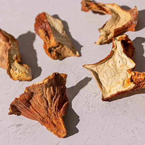 Ks Mushroom Store Dried Lobster Mushrooms - Whole Dried Mushrooms For Cooking, Tea, And Tinctures - Dehydrated Mushrooms 2-Ounce Pack #TOP1