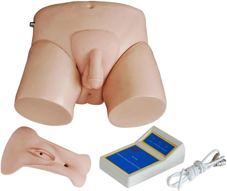 Electronic Urinary Catheterization Teaching Model Nursing Practice Simulator for Male and Female