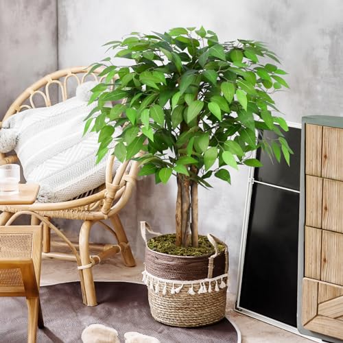 Image of 3ft Ficus Artificial Trees with Natural Curved Trunks, 36 inch Tall Lush Faux Tree for Home Decor Indoor, Green Lifelike Fake Ficus Tree Artificial Plants