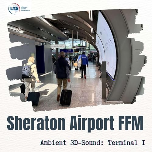 Page de couverture de ASMR Flughafen Frankfurt am Main: Ambient 3-Sound zum Einschlafen