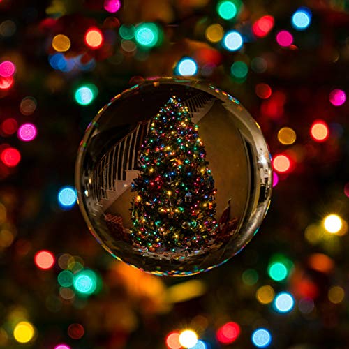 (Multi-color) - Globe String Light, Dailyart multi-color 40 LED Starry Light Fairy Light para jardim