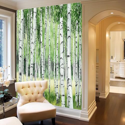 Papier peint panoramique forêt de bouleaux vert olive 250x175 cm pour salon - 6