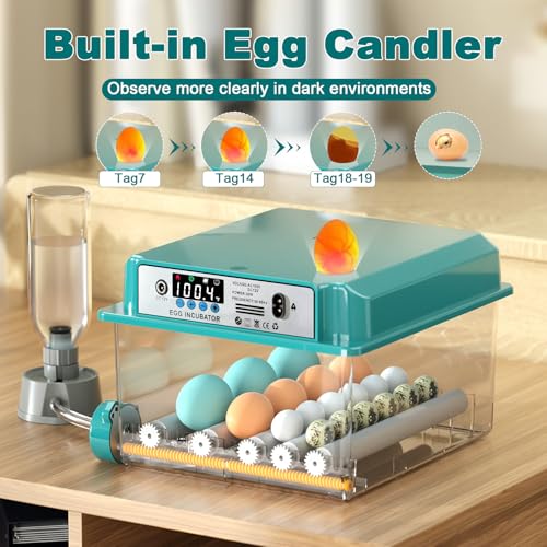 Image of CoInceptus 16 Eggs Incubators for Hatching Eggs, Egg Incubator with Automatic Egg Turning and Temperature Control, Chicken Egg Incubators with Egg Candler for Duck Goose Pigeon Quail