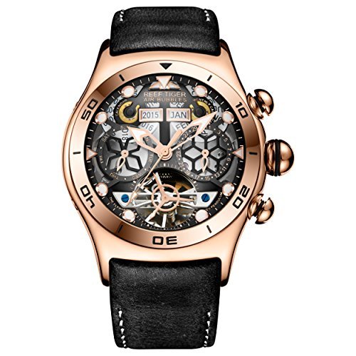 Reef Tiger Luminous Sport Watch with Year Month Date Day Steel Skeleton Dial Unique Watch RGA703 (B01FLYR61K) Amazon Price History, Amazon Price Tracker
