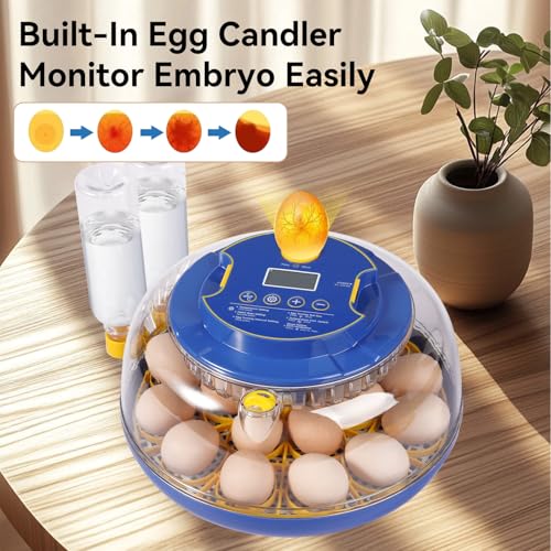 18 Egg Incubators for Hatching Eggs, Chicken Egg Incubator with Automatic Egg Turning and Temperature Humidity Control, 360° Clear View Lid or Home, Farm, Classroom, Hatching Chicken, Duck,Quail,Goose - Image 6