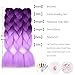 BACANA Purple Braiding Hair Ombre (Purple/Light Purple) 3pcs Jumbo Braiding Hair Extensions for Crochet Braids Twist 24 Inch 100G Hot Water Seal Soft Synthetic Fiber