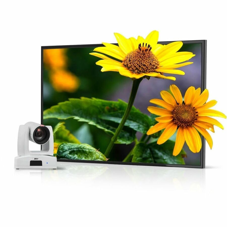 Amazon.com : Aver Ptz211 Full HD Network Camera : Electronics