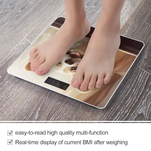 Balanza digital para baño con plataforma de vidrio templado miniatura 5