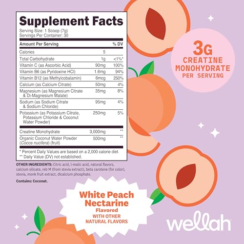 Image of Wellah Creatine + Electrolytes Powder (White Peach Nectarine) 30 Servings - Hydration Drink Mix with 3g of Creatine Monohydrate