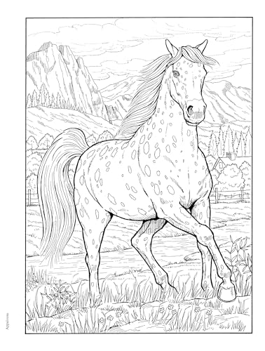 Adult Coloring Great Horses Coloring Book (Adult Coloring Books: Animals) - Image 5