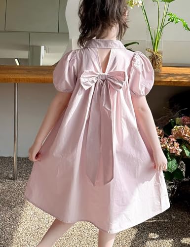Little Girls Special Occasion Dresses Puffy Tulle Lace Homecoming Halloween Party Dress Up3