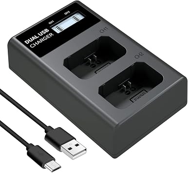 LP NP-FW50 Battery Charger, LCD Dual Charger Compatible with Sony Alpha A6000, A6400, A6100, A6300, A6500, A5100, A7, A7 II, A7R, A7R II, A7R2, A7S, A7S II, A7S2, A5000, A3000, RX10, NEX-3/5/7 Series