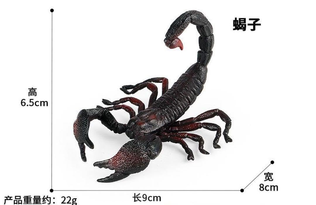 Amazon.co.jp: ? ? サソリ フィギュア リアル 動物 ZOO 約22g : おもちゃ