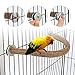 Rypet Parrot Natural Wood Stand Perch, Swing U Shape Natural Parrot Perch, U Shape Bird Chewing Stand Stick, Bird Cage Accessories for Parakeet, Conure, Cockatiel, Budgie, Lovebirds,Amazon Parrots