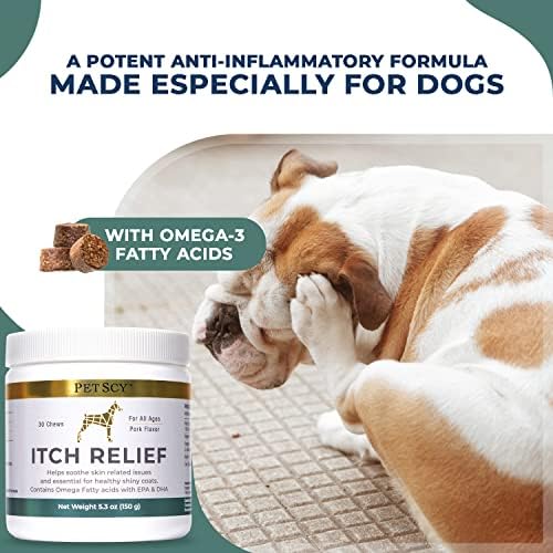 What Is The Best Anti Itch For Dogs