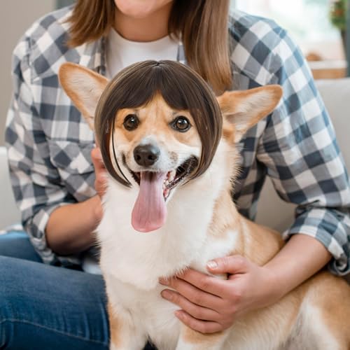 Molain 1 Stück Haustier Perücken mit verstellbaren Riemen, Lustige Hunde Katzen Cosplay Perücke Hundekostüm Weihnachten Perücken Band für Kleine Mittelgroße Hunde Perücken Weihnachten Dekorationen