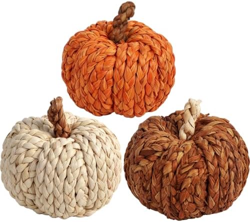 Lulu Home Set of 3 Handwoven Pumpkins Decor