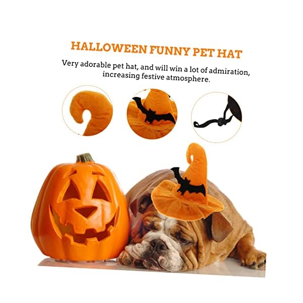 Bestoyard 2 pcs pet hat spider costume prom gifts mini gifts halloween pet costume dog costume hats dog costume pumpkin hat felt cloth cat hat cat halloween headgear halloween funny pet hat - image 3