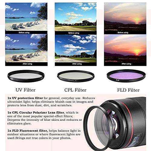 Cámara DSLR Canon EOS Rebel SL2 con lentes y accesorios miniatura 7
