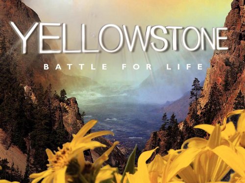 Image of Yellowstone