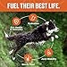 Chicken Bone Broth Concentrate for Dogs - Collagen Protein Supplement for Digestion, Mobility, Coat, Immune System, Joints - Healthy Dog Food Topper - Human Grade, Made in USA (16 oz, 30 Servings)