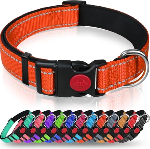 Taglory Collare per Cani, Imbottito Nylon Regolabile Traspirante Riflettente Collari per Cani di Taglia Extra Grande, Arancione