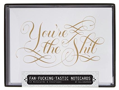 Fan-Fucking-Tastic Notecards( 12 Notecards & Envelopes)[FAN-FUCKING-TASTIC NOTECARDS][Novelty]