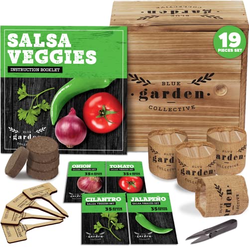 Kit de démarrage pour jardin intérieur