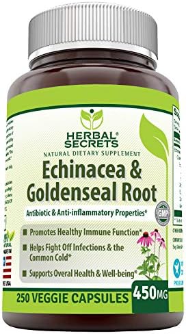 Herbal Secrets Echinacea & Goldenseal Root with Echinacea Purpurea, Goldenseal, Burdock Root & Cayenne Pepper - Supports Healthy Immune Function (Pack of 2-250 Capsule Bottles)