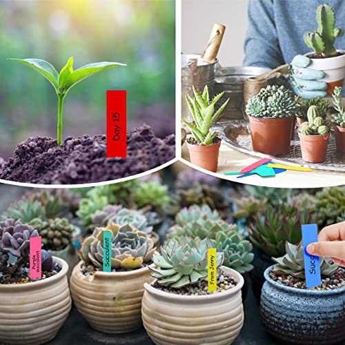 200 Pcs Plastic Plant Labels, 4 Inch Waterproof Plant Tags And Labels For Seedlings, Plant Name Markers For Indoor Plants&Pots, Nursery Garden Plant Identification Stakes - Green #TOP4