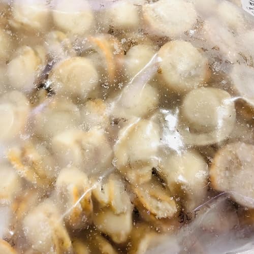 xr[z^e T_pL 1kgyقāEozT_AuߕC݂сAV`[ɁyⓀ