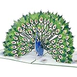 ✨ Une Découpe Laser Impeccable : Chaque plume est finement sculptée pour créer une explosion de détails et de couleurs, transformant chaque carte en une véritable œuvre d’art.