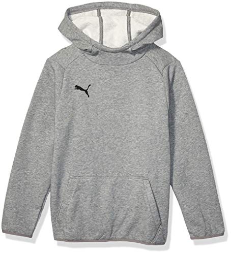 PUMA Men's LIGA Casuals Hoody JR, Medium Gray Heatherpuma Black, L