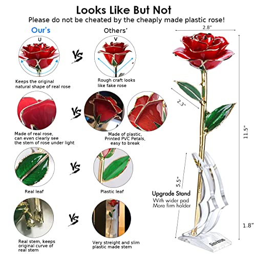 Sinvitron Gold Dipped Infinity Rose - Eternal Resin-Preserved Rose | Forever Flower Decor for Birthdays, Mother’s Day, Anniversaries | Unique Gift for Women, Mom, Wife (Red) - Image 5