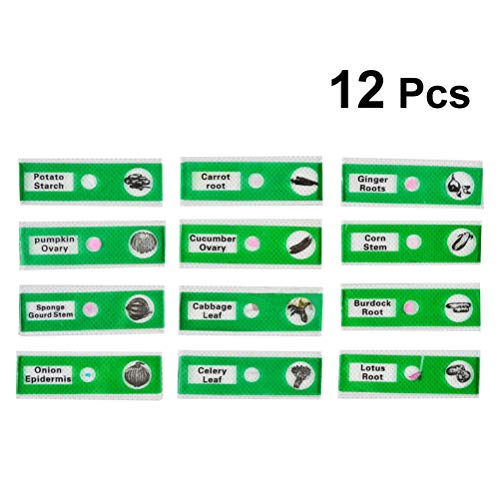 Hemobllo 12 peças de slides preparados para microscópio, conjunto de lâminas biológicas infantis de
