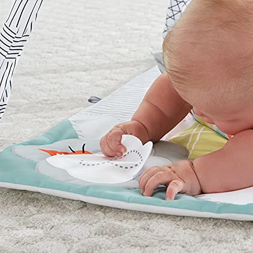 Fisher-Price Palestrina 5 Sensi Deluxe, Stimola