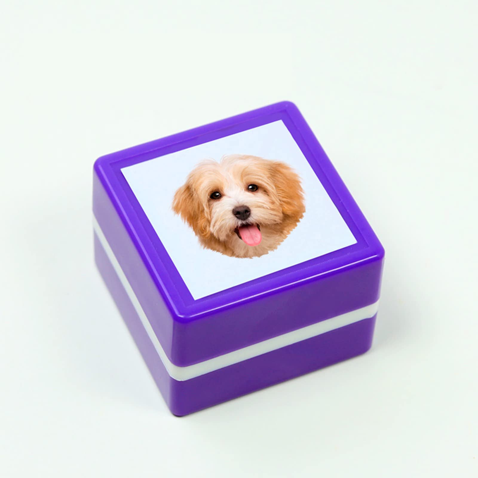 Custom Pet Stamp Self Inking- Gifts for Pet Lover,Custom Pet Stamp,Custom Pet Portrait Stamp,Personalised Stamp,Personalised Ink Stamp (Purple,Gift Box 2)