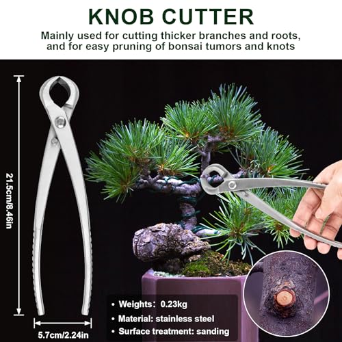 Kit de 6 herramientas para bonsái para poda y modelado miniatura 3