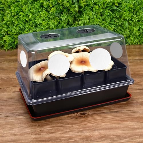 Image of SynHHergyx 24 Pcs Mushroom Monotub Filter Discs 2.5 inch Monotub Adhesive Filter Disks 2 MM Thick Filters Discs for Mushroom Growing Filters Pad Replacements