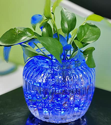 Image of Bright LED Battery Operated Flameless Tea Light, Submersible Tea Candle Waterproof Decorations Underwater Vase Light for Party & Wedding, Pack of 12 (Blue)