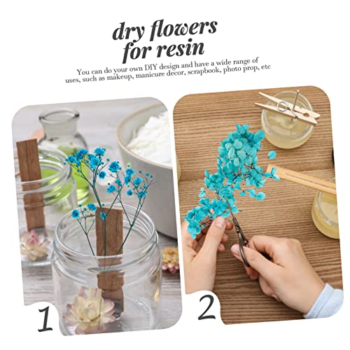 Set de flores secas para manualidades decorativas miniatura 5