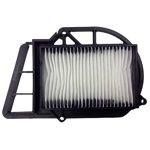 Champion Filtro Aria Champion Caf3203 Yamaha X-Max 250Cc (Filtri Aria) / X-Max 250 Caf3203 Air Filter (Air Filters)