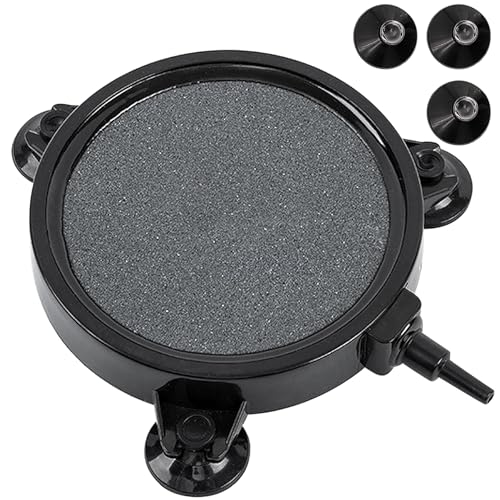 kathson 4.2C` ANAE GAXg[ k͔|  GAXg[ fBXN GA[^[ oufBt[U[ zՕt GA|v Eh n_f GAXg[  r DWC rp