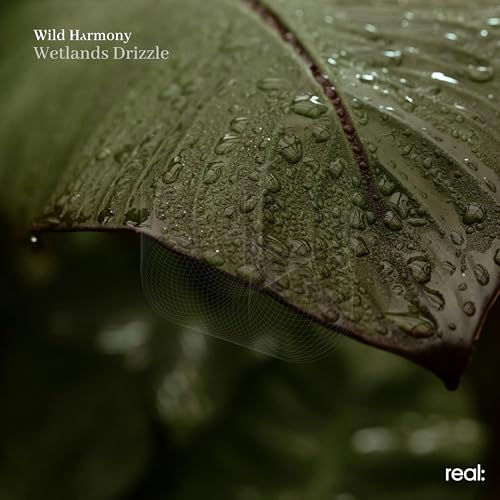 Wild Harmony