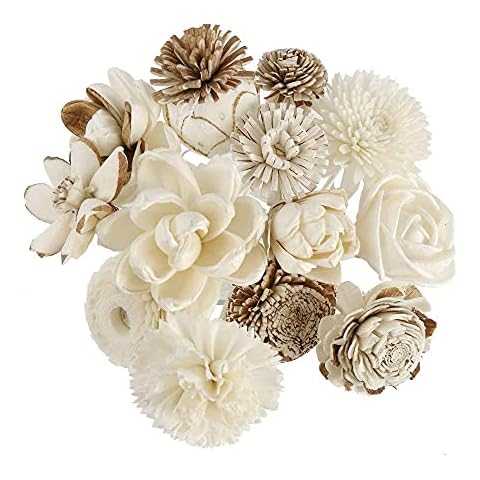 Exotic Plawanature Set of 12 Mixed Sola Wood Flower with Reed Diffuser for Home Fragrance Aroma Oil Cover